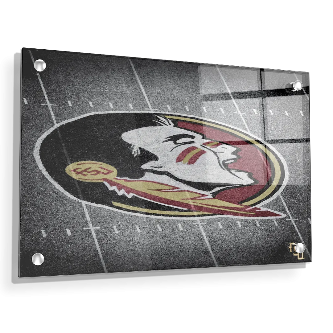 Florida State Seminoles - 50 Yard Line