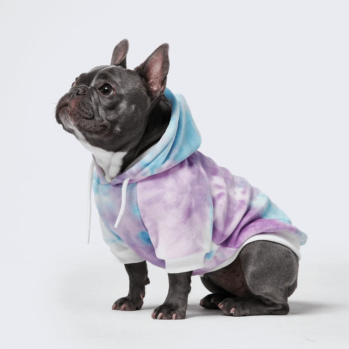 Velvet Dog Hoodie - 90s Retro